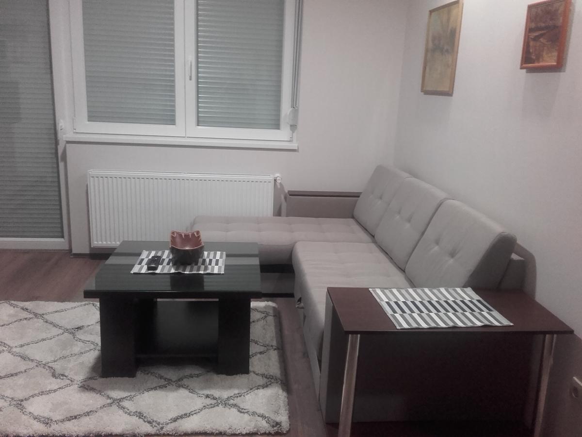 "Sonja Apartman" Jagodina Lägenhet Exteriör bild